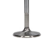 Load image into Gallery viewer, Manley Chrysler 340intake Valve Kit - 2.020in Head Dia. 5.240in O/A Length, 0.3415in Stem - Installation View