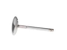 Load image into Gallery viewer, Manley Chrysler 361-383 1.810 Head Dia 4.908 OA L Dish Race Flo Exhaust Valves (Set of 8) - Additional View 5