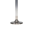 Load image into Gallery viewer, Manley Chrysler 361 Exhaust Valve Kit - 1.600in Head Dia. 5.075in O/A Length, 0.3715in Stem - Side View