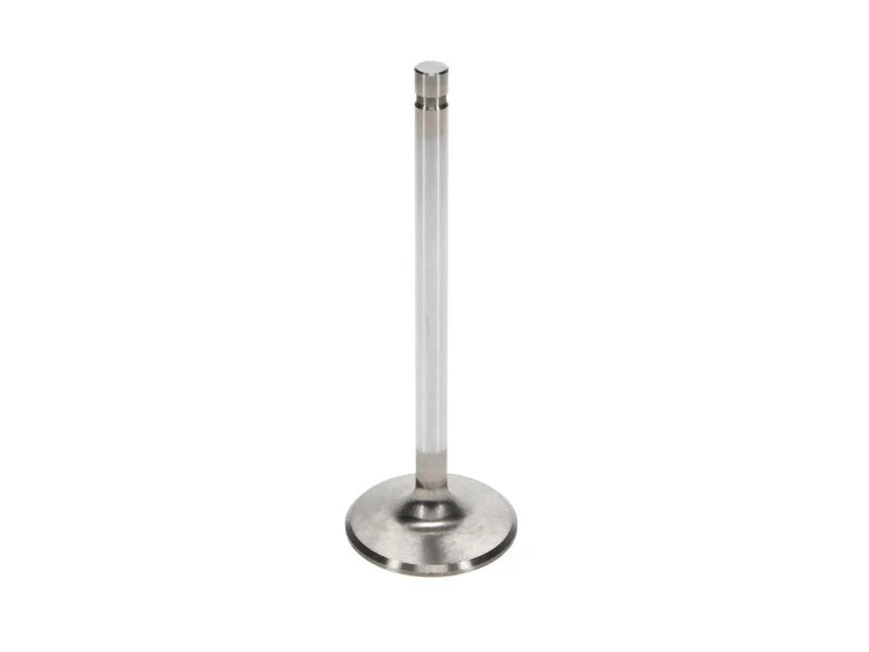 Manley Chrysler 361 Exhaust Valve Kit - 1.600in Head Dia. 5.075in O/A Length, 0.3715in Stem - Back View