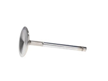 Load image into Gallery viewer, Manley Chrysler 361 Exhaust Valve Kit - 1.740in Head Dia. 4.908in O/A Length, 0.3720in Stem - Back View