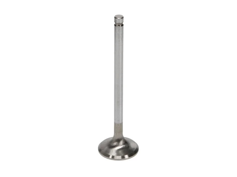 Manley Chrysler 361 Exhaust Valve Kit - 1.810in Head Dia. 5.010in O/A Length, 0.3715in Stem - Back View