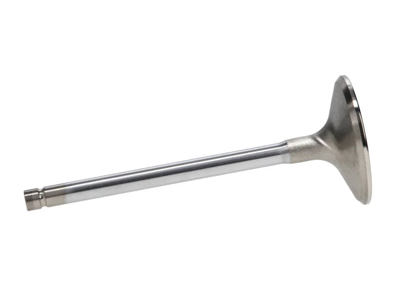 Manley Chrysler 426 Hemi Race Master Exhaust Valves (Set of 8) - Back View