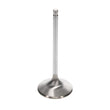Load image into Gallery viewer, Manley Chrysler 426 Hemi intake Valve Kit - 2.250in Head Dia. 5.424in O/A Length, 0.3085in Stem - Additional View 5