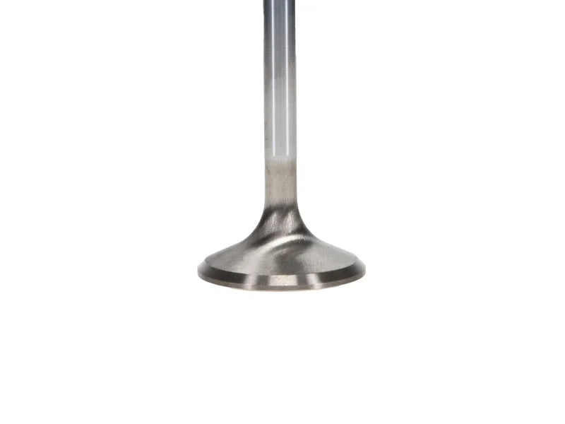 Manley Chrysler Hemi 6.1L w/ Triple Groove 1.625in Race Master Exhaust Valves (Set of 8) - Back View