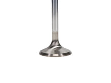 Load image into Gallery viewer, Manley Chrysler Hemi 6.1L w/ Triple Groove 1.625in Race Master Exhaust Valves (Set of 8) - Back View