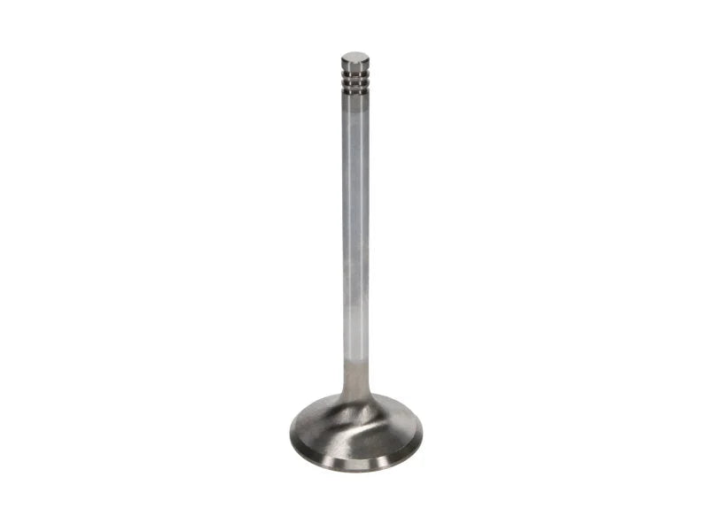 Manley Chrysler Hemi 6.1L w/ Triple Groove 1.625in Race Master Exhaust Valves (Set of 8) - Additional View 5