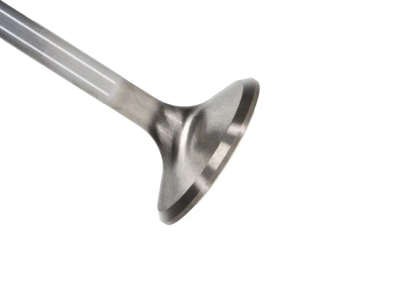 Manley Chrysler Hemi 6.1L w/ Triple Groove 1.625in Race Master Exhaust Valves (Single) - Main Product View