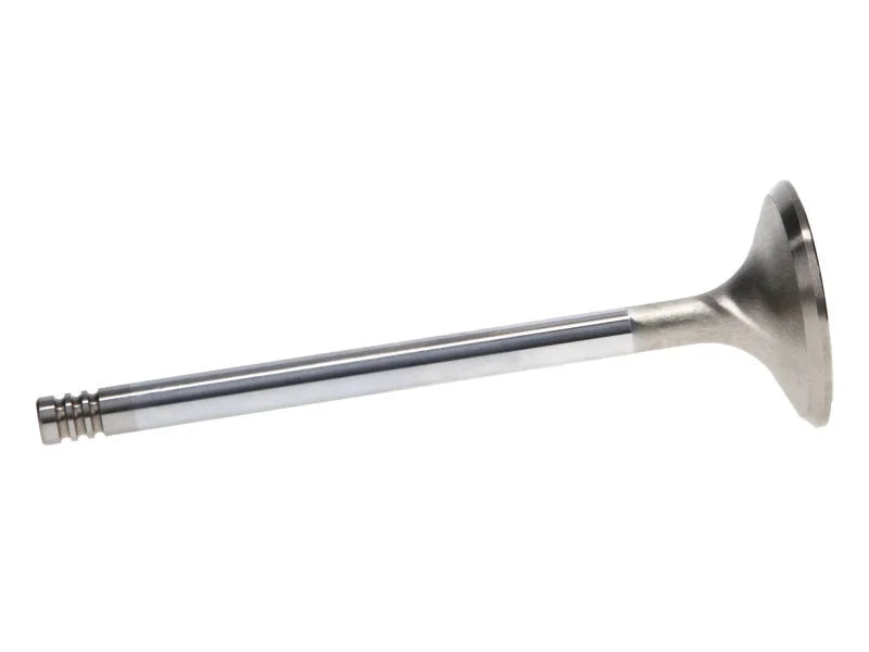 Manley Chrysler Hemi 6.1L w/ Triple Groove 1.625in Race Master Exhaust Valves (Single) - Side View