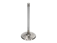 Load image into Gallery viewer, Manley Chrysler Hemi 6.1L w/ Triple Groove 2.100in Race Flo Intake Valves (Single Valve) - Side View