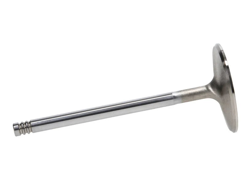 Manley Chrysler Hemi 6.1L w/ Triple Groove 2.100in Race Flo Intake Valves (Single Valve) - Back View