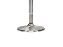 Load image into Gallery viewer, Manley Chrysler Hemi 6.1L w/ Triple Groove 2.100in Race Flo Intake Valves (Single Valve) - Additional View 5