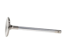 Load image into Gallery viewer, Manley Dart Big Block Pro 1 Stock Length 11/32in Stem Dia Severe Duty Intake Valves (Set of 8) - Additional View 6