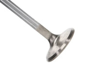 Load image into Gallery viewer, Manley Dodge 8.0L Viper V10 Exhaust Valve Kit - 1.600in Head Dia. 5.97mm O/A Length, 0.3110in Stem - Main Product View