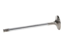 Load image into Gallery viewer, Manley Dodge 8.0L Viper V10 Exhaust Valve Kit - 1.600in Head Dia. 5.97mm O/A Length, 0.3110in Stem - Back View
