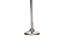 Load image into Gallery viewer, Manley Dodge 8.0L Viper V10 Exhaust Valve Kit - 1.600in Head Dia. 5.97mm O/A Length, 0.3110in Stem - Installation View