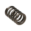Load image into Gallery viewer, Manley Dodge SRT-4 16pc Valve Springs - Main Product View