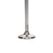Load image into Gallery viewer, Manley Dodge Viper V-10 1.580 Dia Race Master Exhaust Valves (Set of 10) - Back View