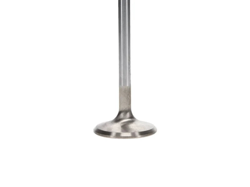 Manley Dodge Viper V-10 1.580 Dia Race Master Exhaust Valves (Set of 10) - Back View