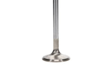 Load image into Gallery viewer, Manley Dodge Viper V-10 1.580 Dia Race Master Exhaust Valves (Set of 10) - Back View