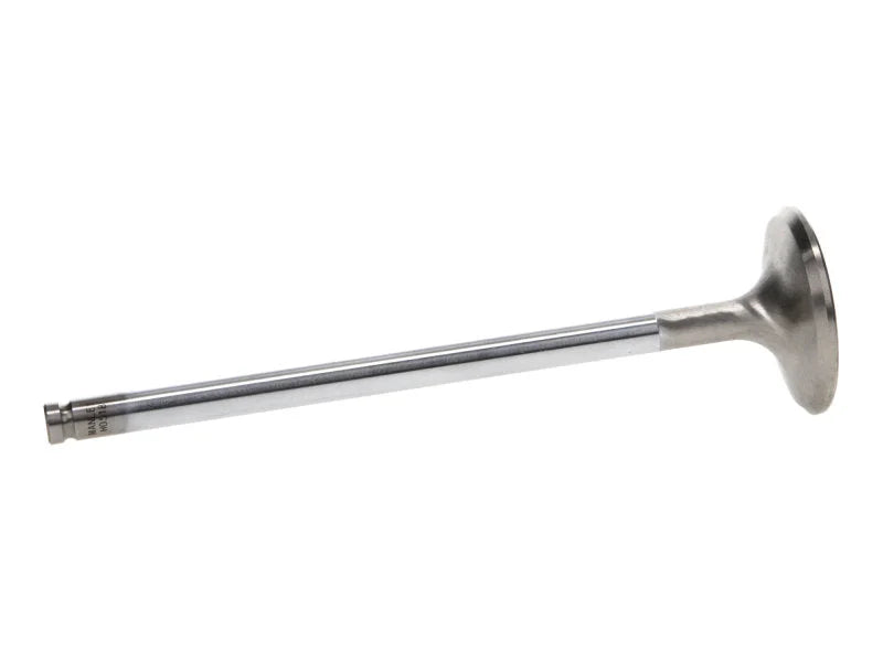 Manley Dodge Viper V-10 1.580 Dia Race Master Exhaust Valves (Set of 10) - Installation View