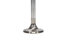 Load image into Gallery viewer, Manley Ford 2300 1.590 in Esslingerin Race Master Exhaust Valve - Single - Back View