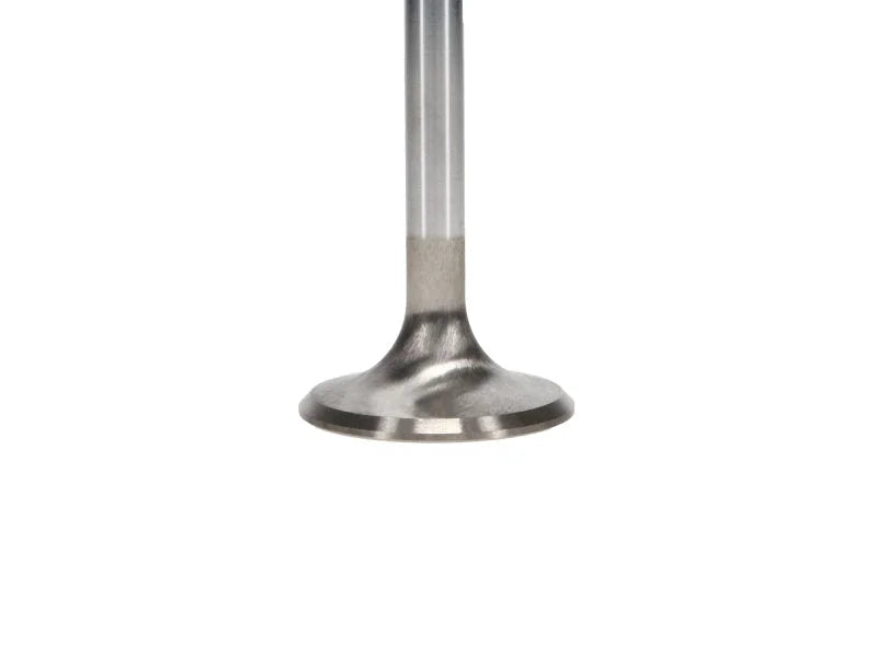 Manley Ford 2300 1.590 inEsslingerin Race Master Exhaust Valves (Set of 4) - Back View