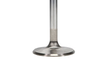 Load image into Gallery viewer, Manley Ford 2300 1.890in Esslingerin Race Master Intake Valve (Set of 4) - Side View
