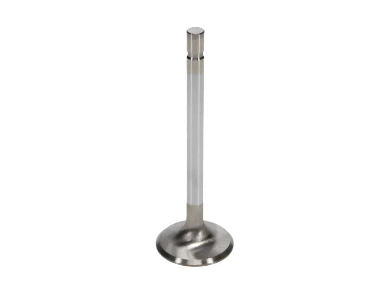 Manley Ford 2300 Exhaust Valve Kit - 1.590in Head Dia. 4.800in O/A Length, 0.3415in Stem - Back View