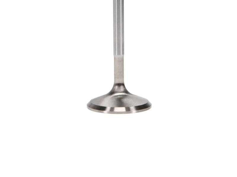 Manley Ford 2.3L EcoBoost Exhaust 33mm Stainless Race Master Valves - Back View