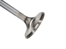Load image into Gallery viewer, Manley Ford 289/302/351W 1.550 Race Flo Exhaust Valves - Main Product View