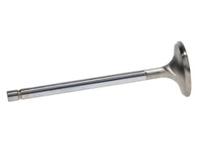 Load image into Gallery viewer, Manley Ford 289/302/351W 1.550 Race Flo Exhaust Valves - Side View