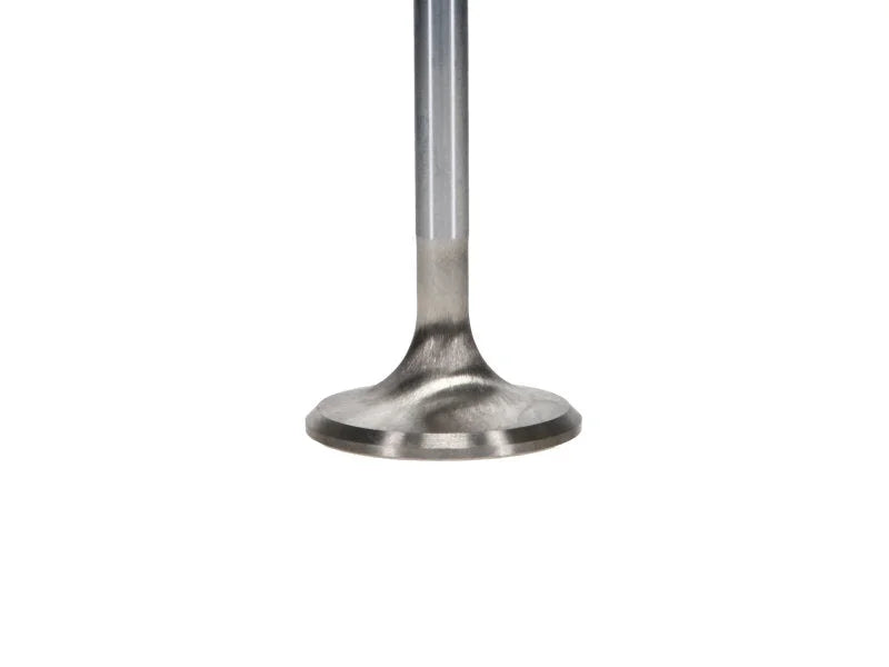 Manley Ford 289/302/351W 1.550 Race Flo Exhaust Valves - Back View