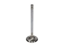 Load image into Gallery viewer, Manley Ford 289/302/351W 1.550 Race Flo Exhaust Valves - Additional View 5