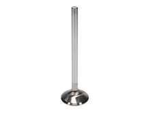 Load image into Gallery viewer, Manley Ford 351C 1.710 Inch Head Diameter / .3415 Inch Stem / Diameter Stock Height ( Set of 8) - Installation View
