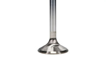 Load image into Gallery viewer, Manley Ford 351C 5.167 O/A Length 1.710 Dia Dish Severe Duty Exhaust Valves (Set of 8) - Side View
