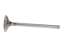 Load image into Gallery viewer, Manley Ford 351C 5.167 O/A Length 1.710 Dia Dish Severe Duty Exhaust Valves (Set of 8) - Additional View 6