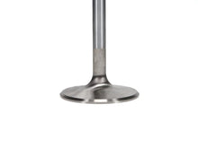 Load image into Gallery viewer, Manley Ford 429intake Valve Kit - 2.300in Head Dia. 5.725in O/A Length, 0.3415in Stem - Side View