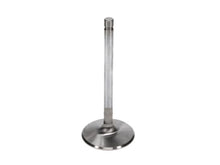 Load image into Gallery viewer, Manley Ford 429intake Valve Kit - 2.300in Head Dia. 5.725in O/A Length, 0.3415in Stem - Back View