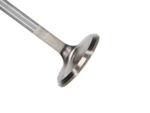 Load image into Gallery viewer, Manley Ford 4.6L 34mm Diameter 117.35mm Length Race Master Exhaust Valves (Set of 8) - Main Product View