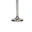 Load image into Gallery viewer, Manley Ford 4.6L 34mm Diameter 117.35mm Length Race Master Exhaust Valves (Set of 8) - Side View