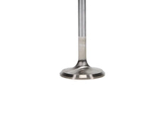 Load image into Gallery viewer, Manley Ford 4.6L 34mm Diameter 117.35mm Length Race Master Exhaust Valves (Set of 8) - Side View