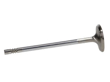 Load image into Gallery viewer, Manley Ford 4.6L 34mm Diameter 117.35mm Length Race Master Exhaust Valves (Set of 8) - Back View