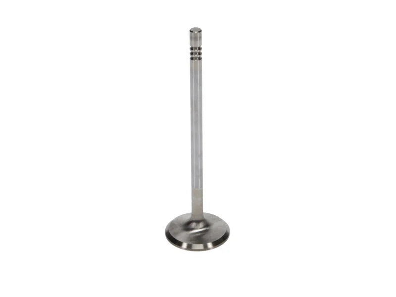 Manley Ford 4.6L 34mm Diameter 117.35mm Length Race Master Exhaust Valves (Set of 8) - Installation View