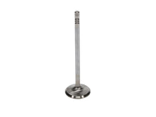 Load image into Gallery viewer, Manley Ford 4.6L 34mm Diameter 117.35mm Length Race Master Exhaust Valves (Set of 8) - Installation View