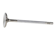 Load image into Gallery viewer, Manley Ford 4.6L 34mm Diameter 117.35mm Length Race Master Exhaust Valves (Set of 8) - Additional View 5