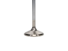Load image into Gallery viewer, Manley Ford 4.6L 37.5mm Diameter 117.35mm Length Race Master Exhaust Valves (Set of 8) - Installation View