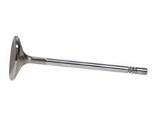 Load image into Gallery viewer, Manley Ford 4.6L 38.5mm Race Master &amp; Extreme Duty Exhaust Valves (Single) - Side View