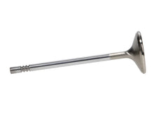 Load image into Gallery viewer, Manley Ford 4.6L 38.5mm Race Master &amp; Extreme Duty Exhaust Valves (Single) - Additional View 6