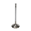 Load image into Gallery viewer, Manley Ford 4.6L 38.5mm Race Master &amp; Extreme Duty Exhaust Valves *Set of 8* - Back View
